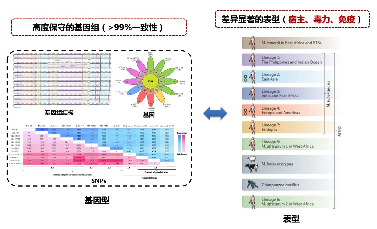 ibet·(正版)官网 -官方app下载