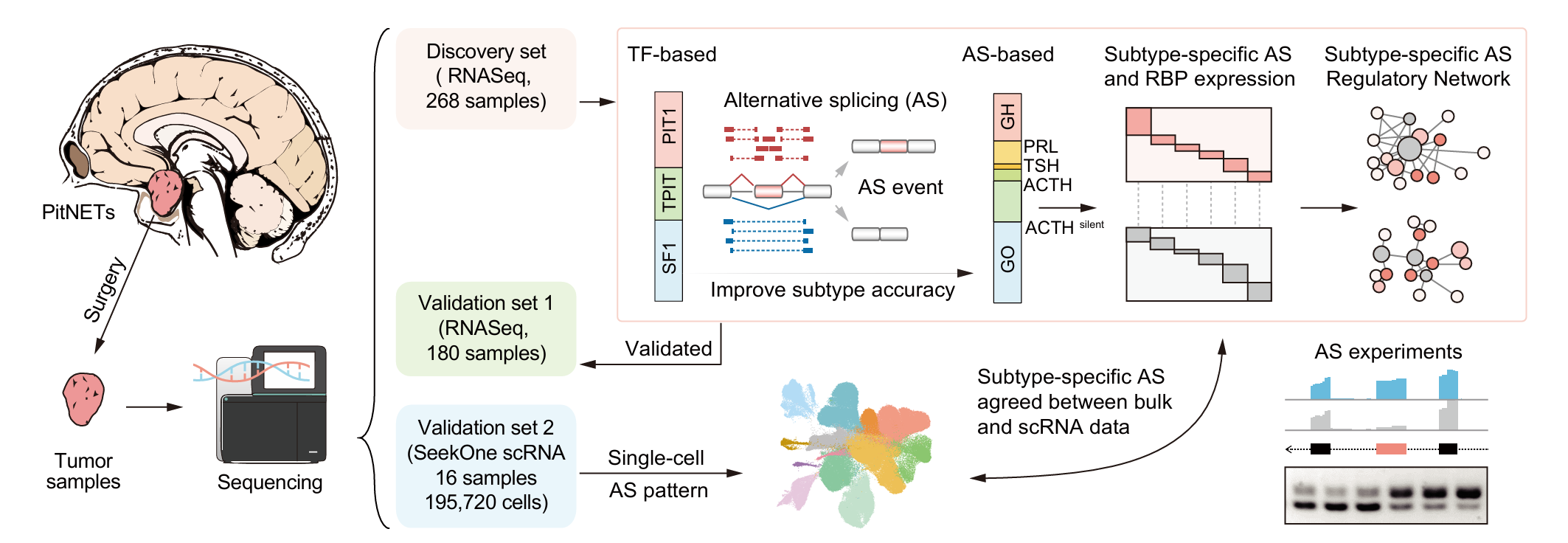 ibet·(正版)官网 -官方app下载