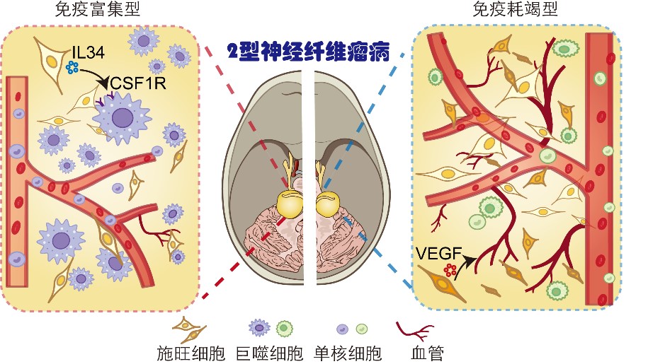 ibet·(正版)官网 -官方app下载