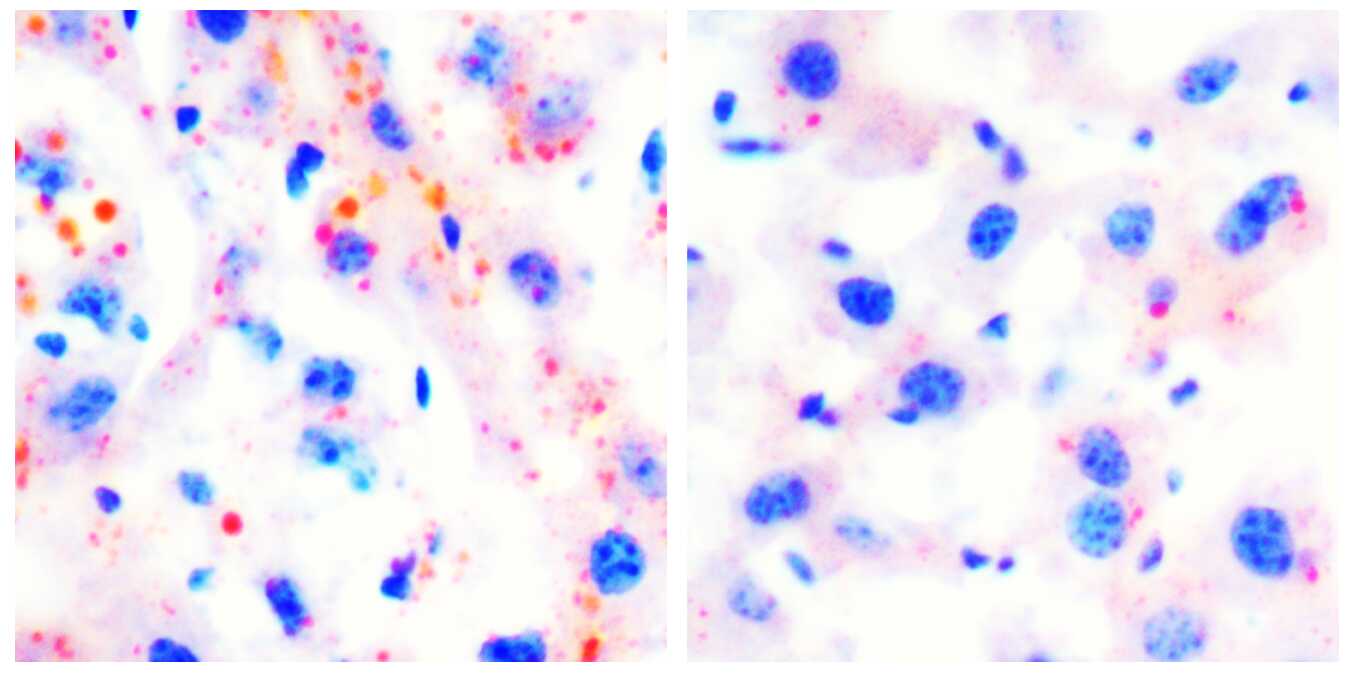 ibet·(正版)官网 -官方app下载