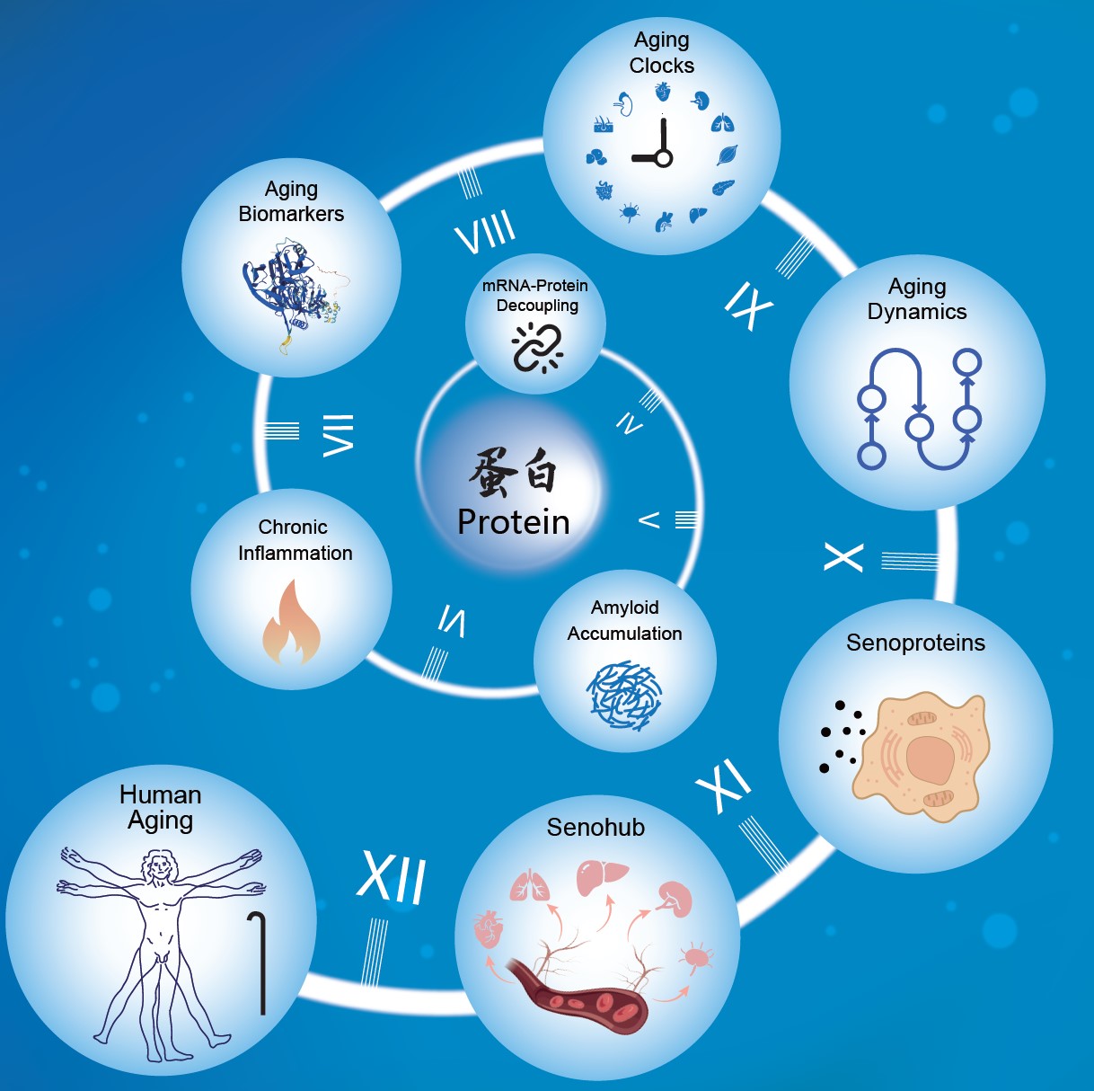 ibet·(正版)官网 -官方app下载