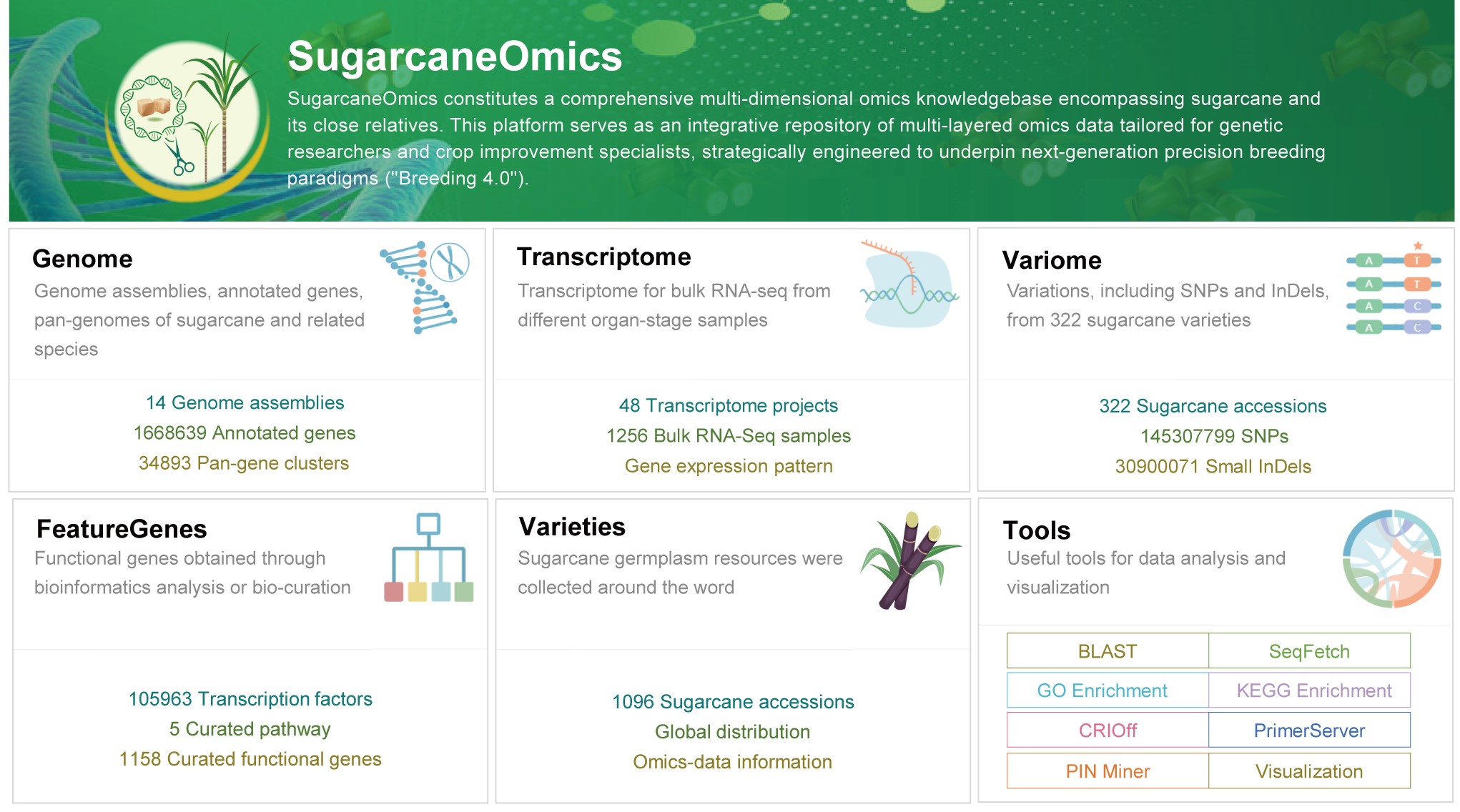 ibet·(正版)官网 -官方app下载