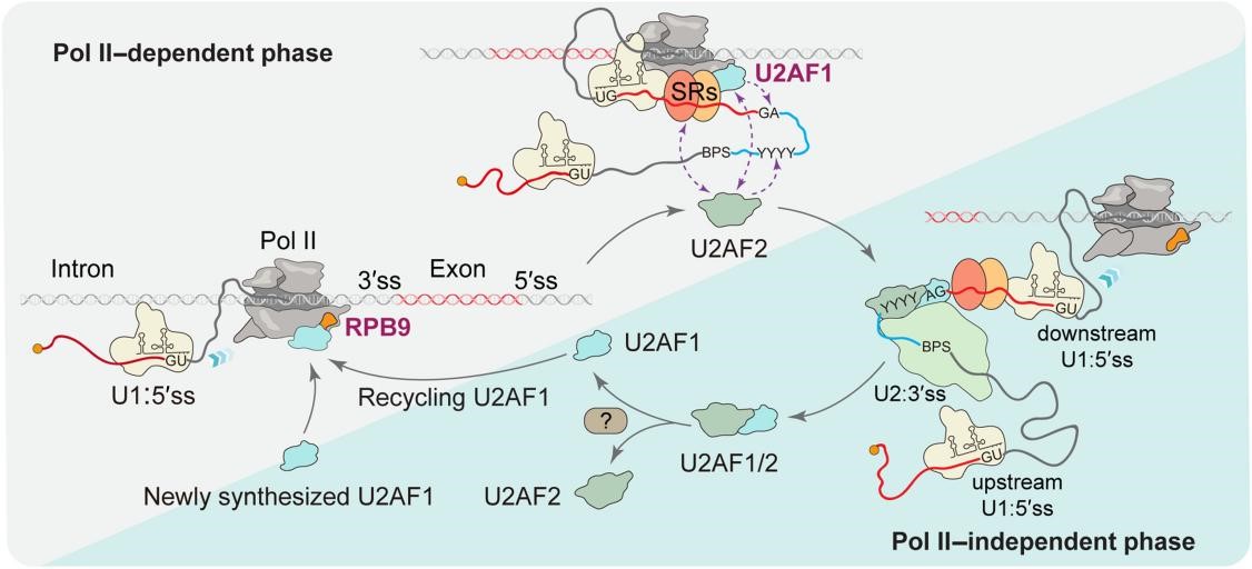 ibet·(正版)官网 -官方app下载