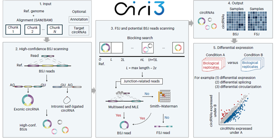 ibet·(正版)官网 -官方app下载