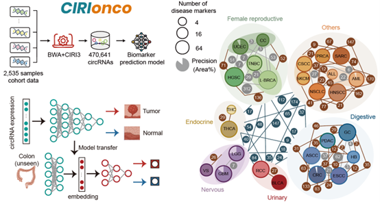ibet·(正版)官网 -官方app下载