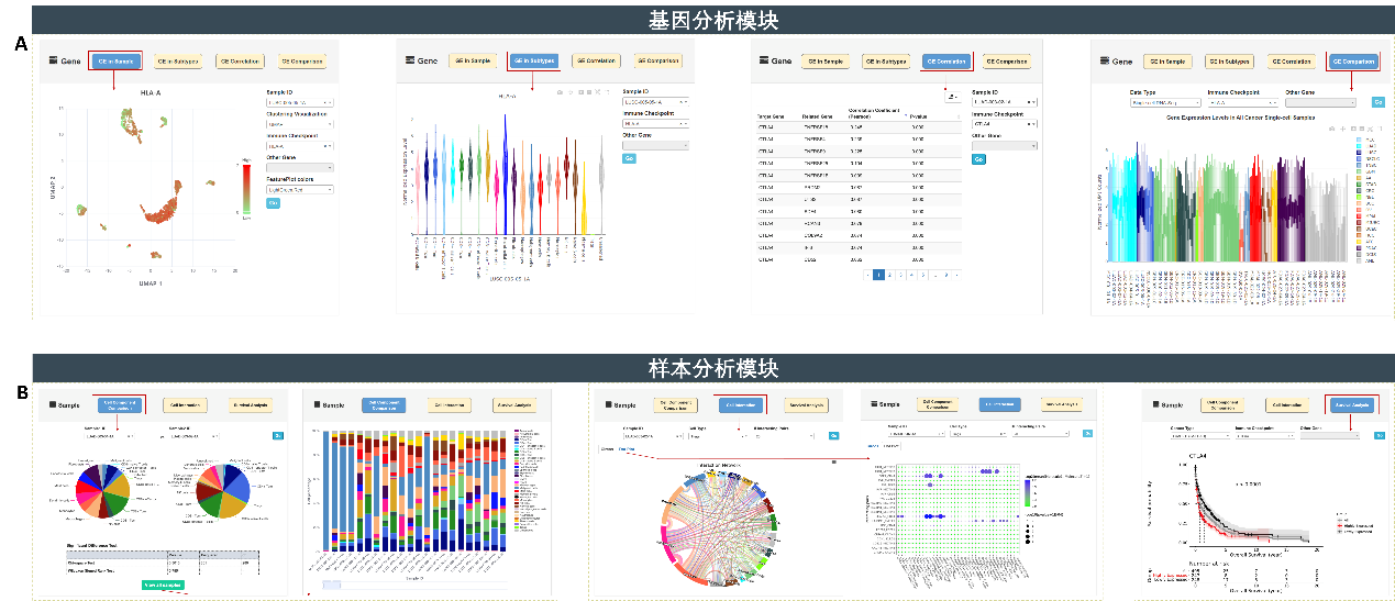 ibet·(正版)官网 -官方app下载
