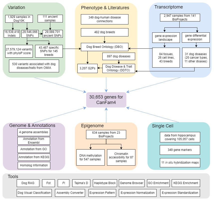 ibet·(正版)官网 -官方app下载