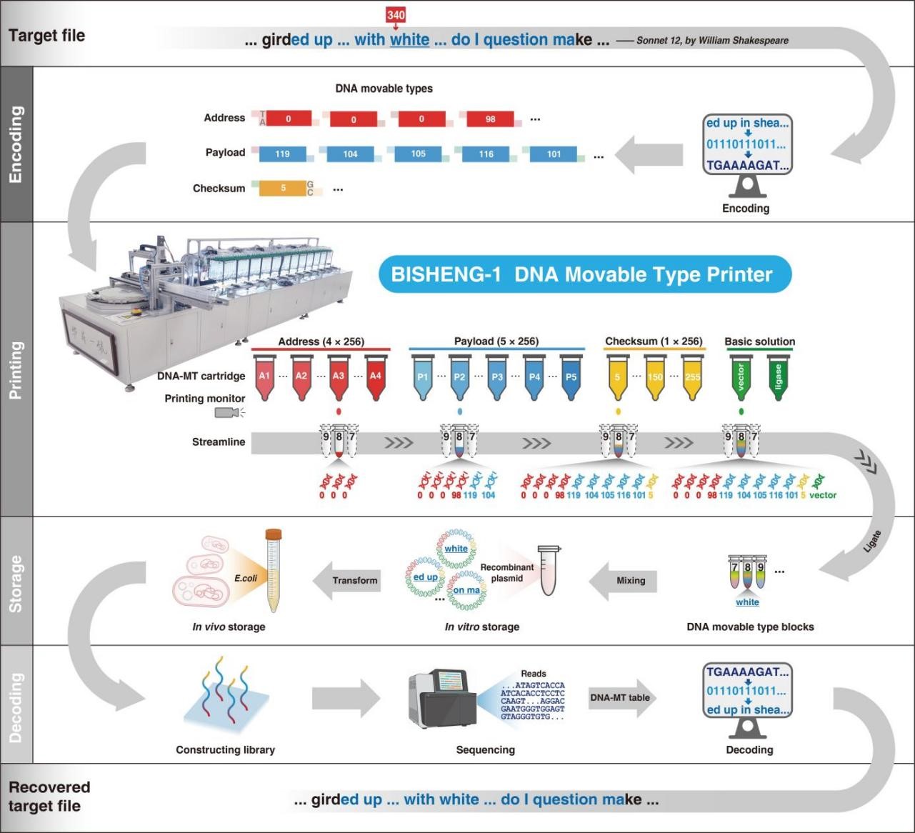 ibet·(正版)官网 -官方app下载