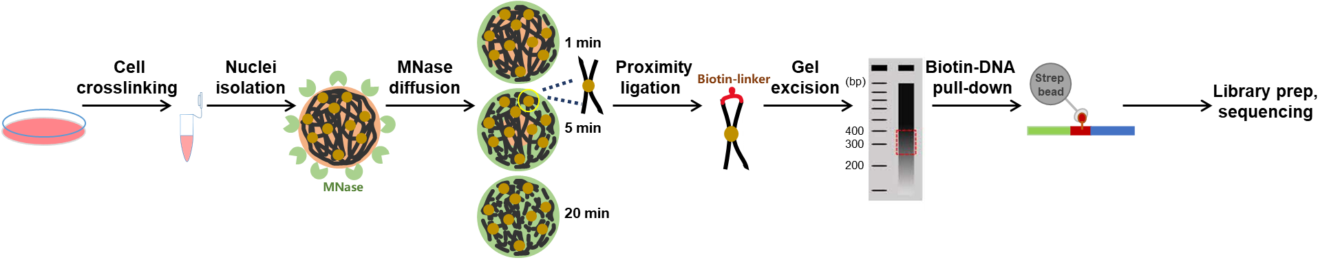 ibet·(正版)官网 -官方app下载