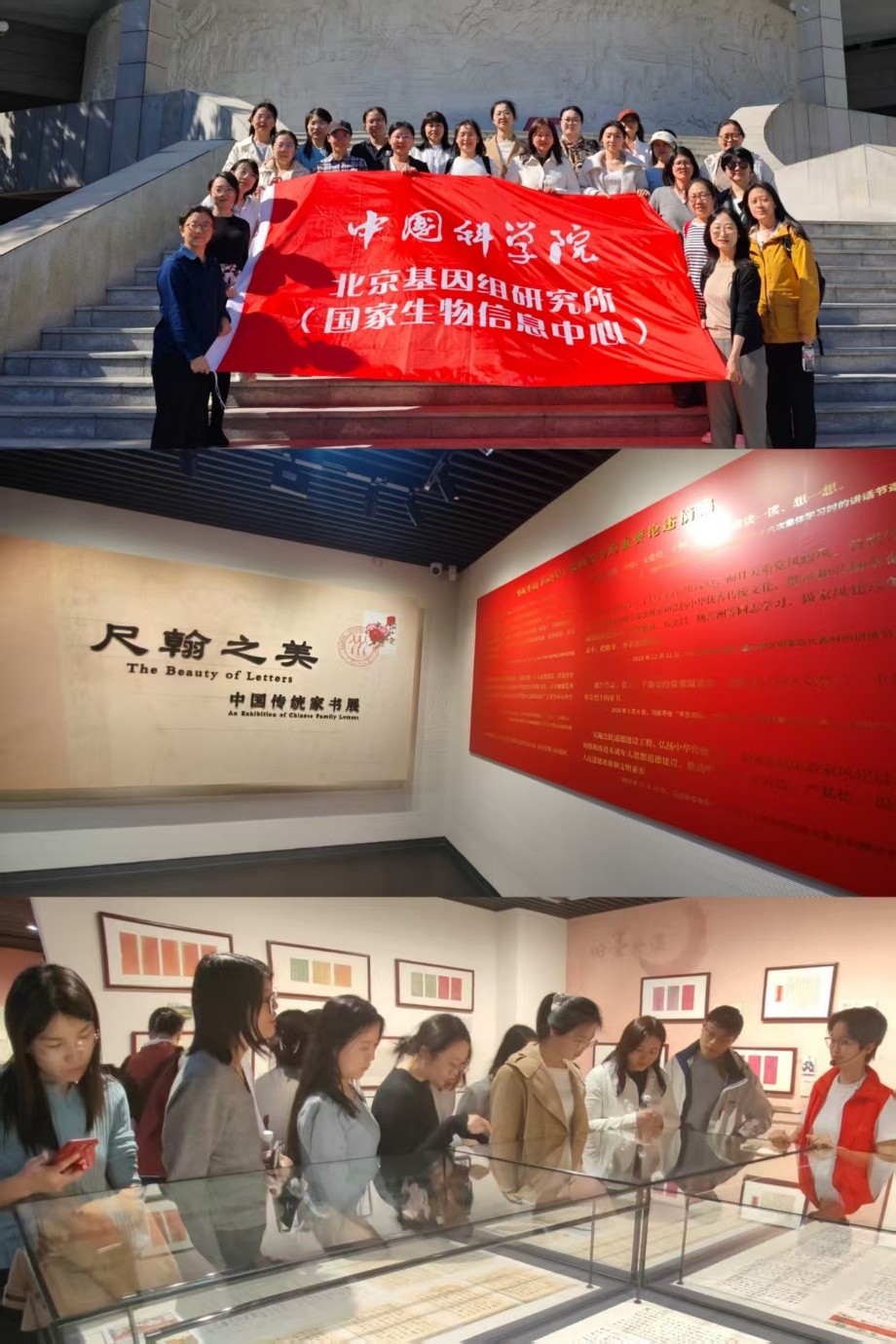 ibet·(正版)官网 -官方app下载