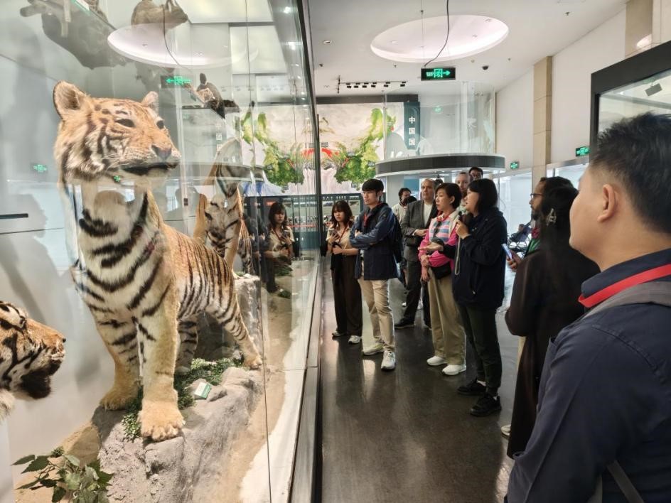 ibet·(正版)官网 -官方app下载