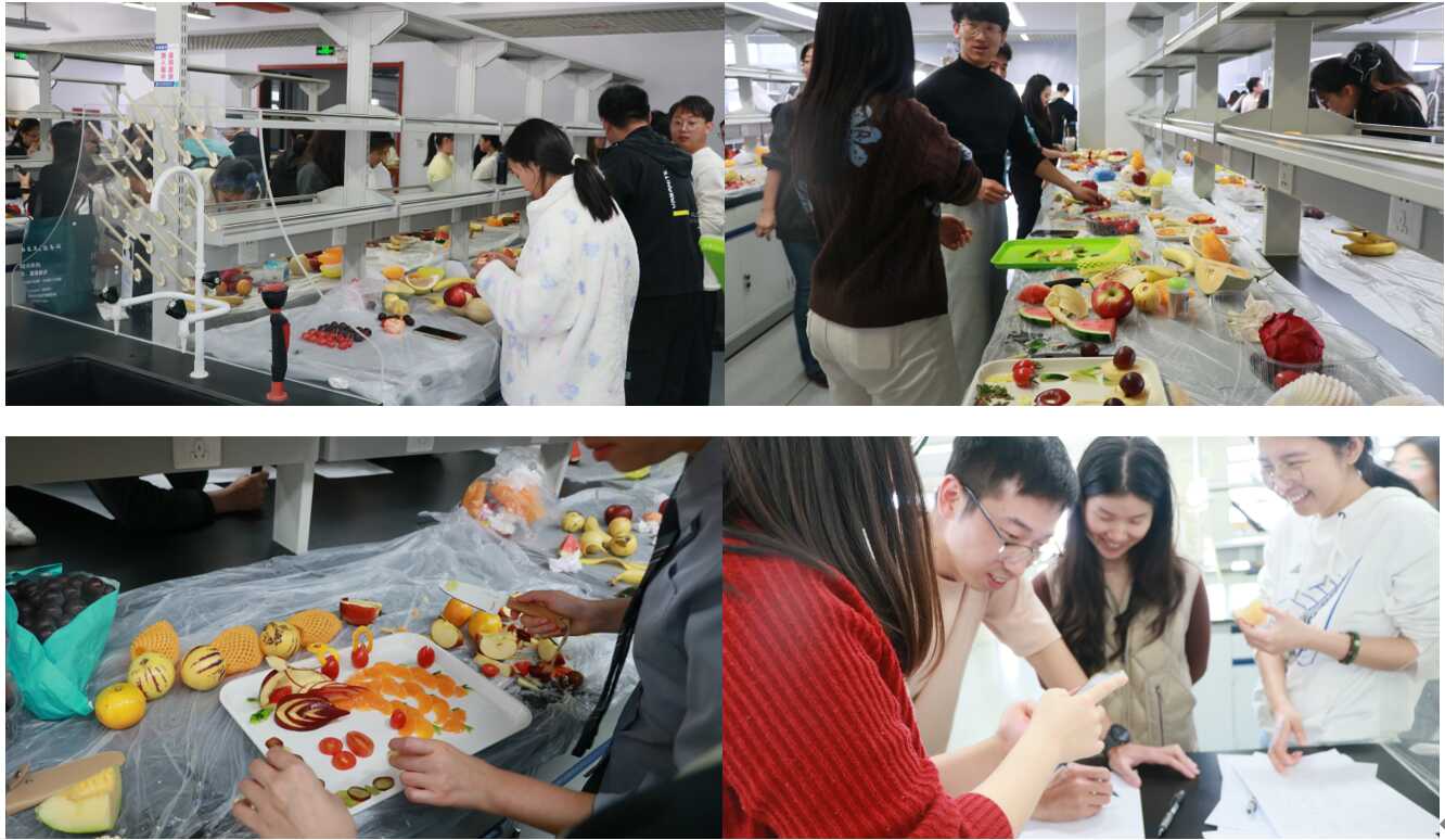 ibet·(正版)官网 -官方app下载